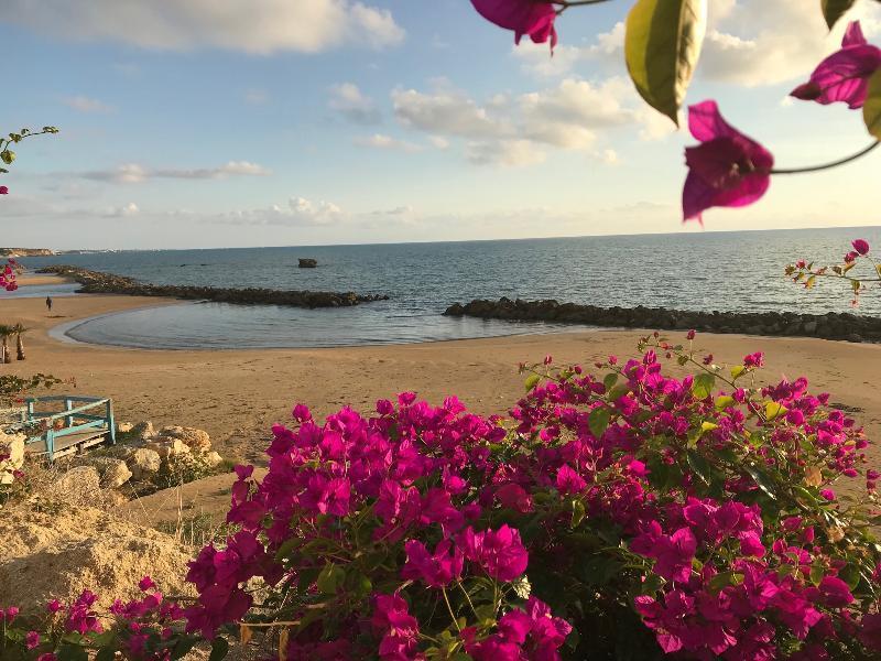 Sikelika Residence Sul Mare Scoglitti Luaran gambar