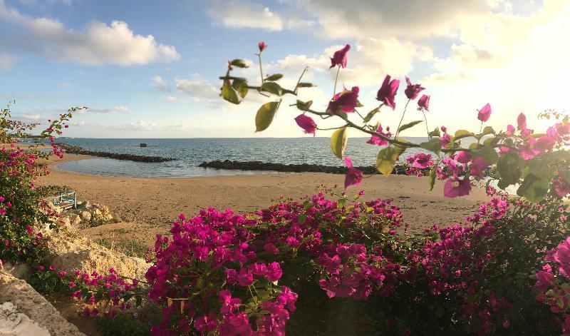 Sikelika Residence Sul Mare Scoglitti Luaran gambar